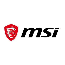 MSI